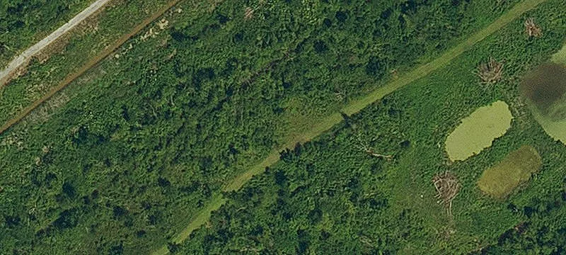 18920 Hwy 3235