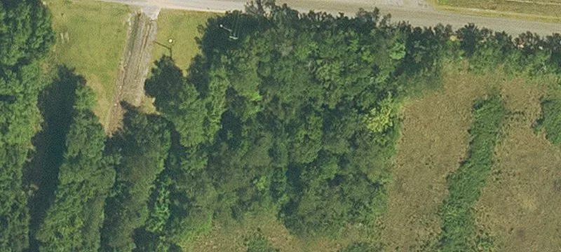 Bogalusa, LA 70427