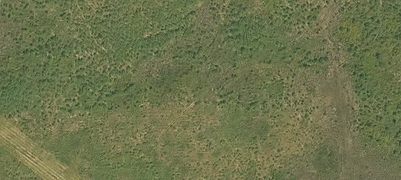 Livingston, LA 70754