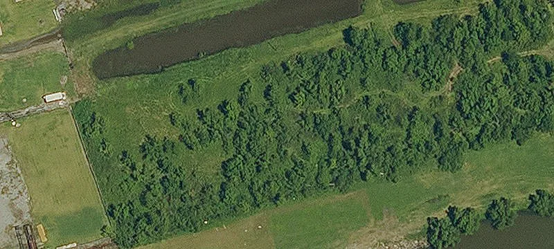 17953 Hwy 3235