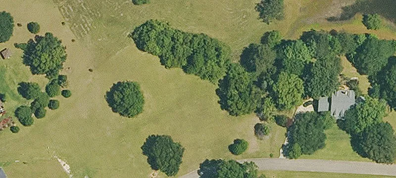 Bush, LA 70431