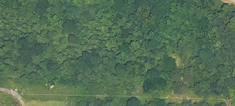 Haughton, LA 71037