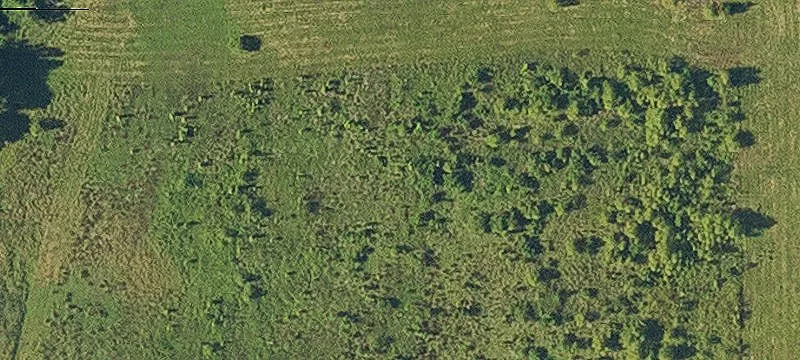 Schriever, LA 70395