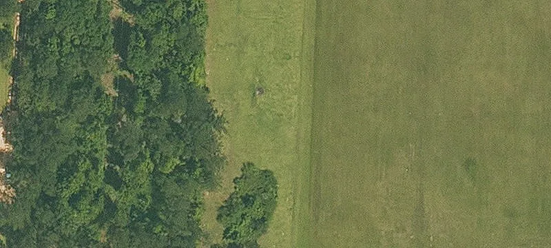 Butler Ln, LA