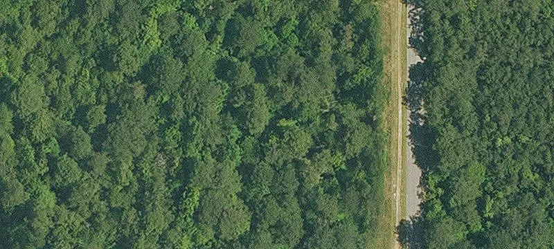 Normandy Dr