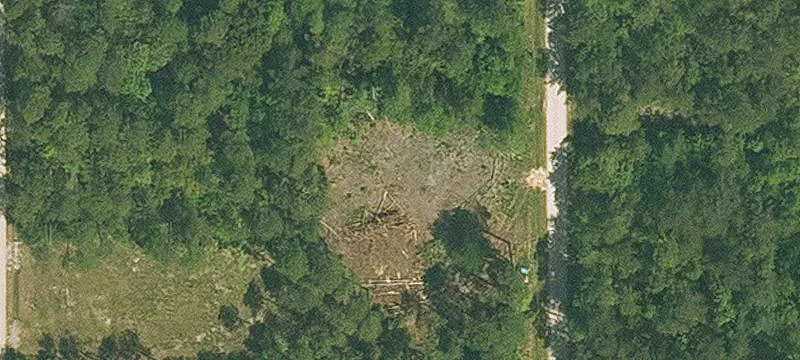 Madisonville, LA 70447