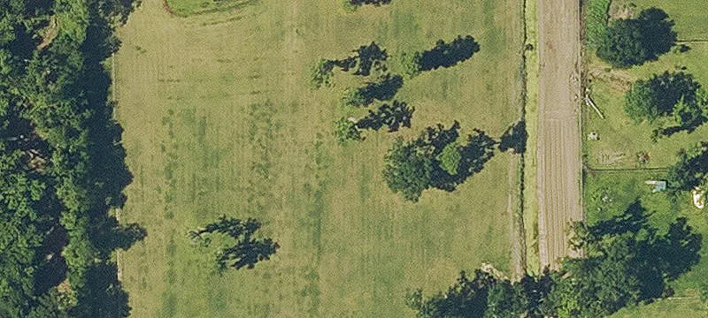 Gibson, LA 70356