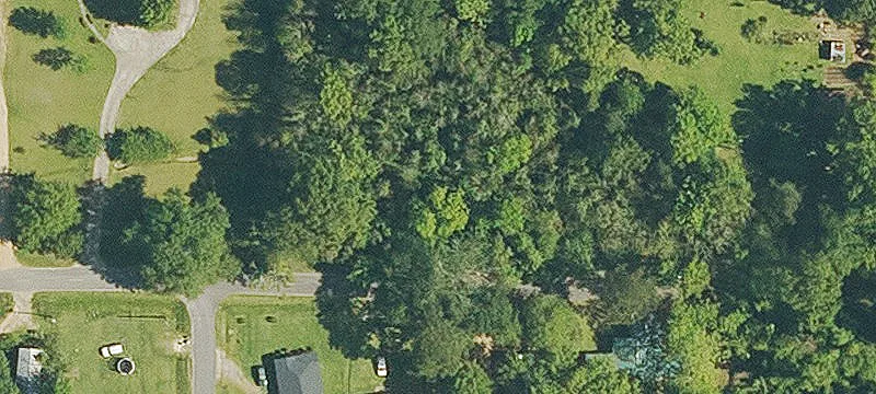 Independence, LA 70443