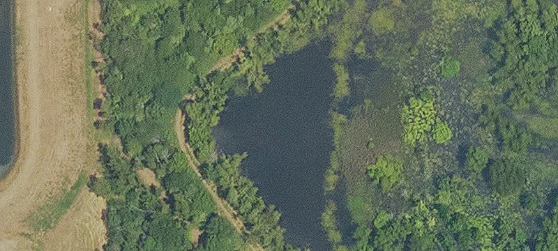 Elm Grove, LA 71051