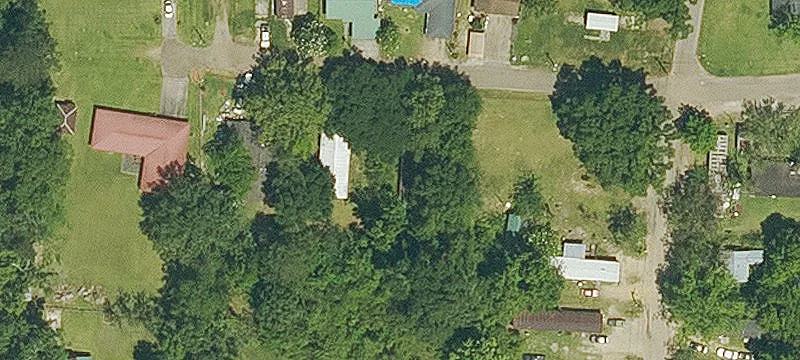 Magnolia St