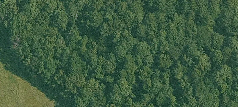 Oberlin, LA 70655