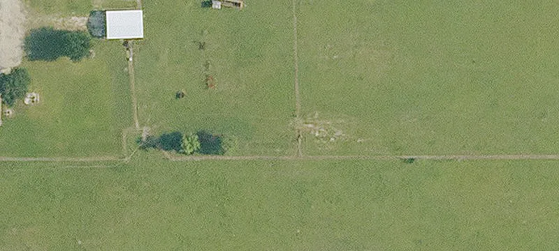 Alta Rd