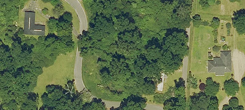 Stein Rd