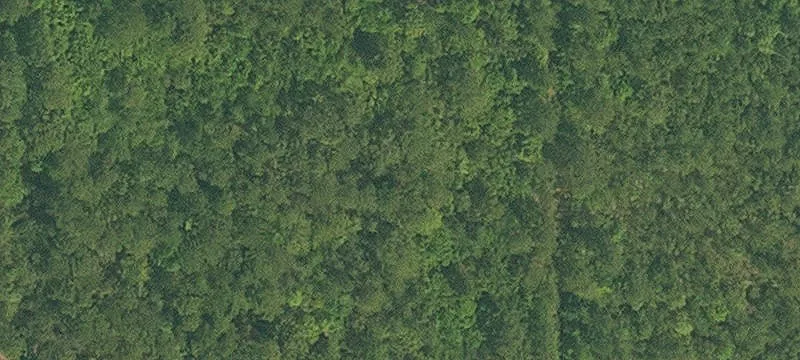 Abita Springs, LA 70420