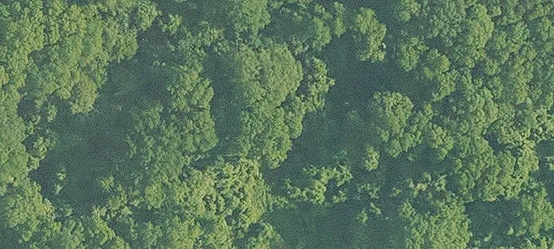 Haughton, LA 71037