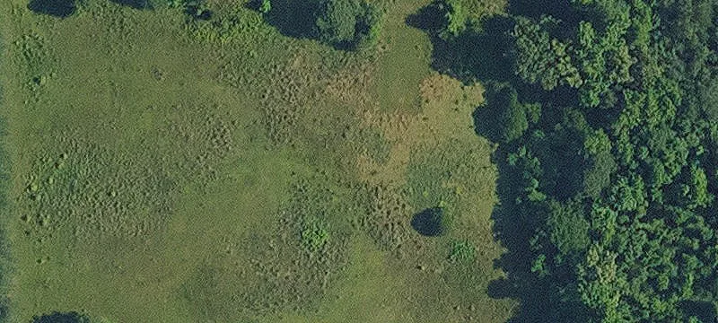 Benton, LA 71006