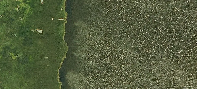 Chauvin, LA 70344