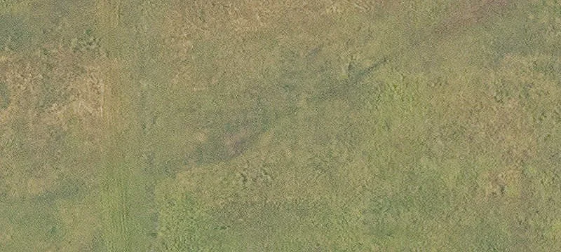 Haughton, LA 71037