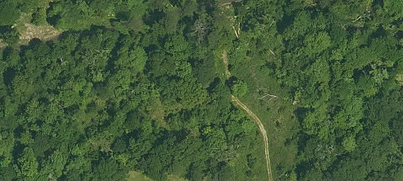 Bush, LA 70431