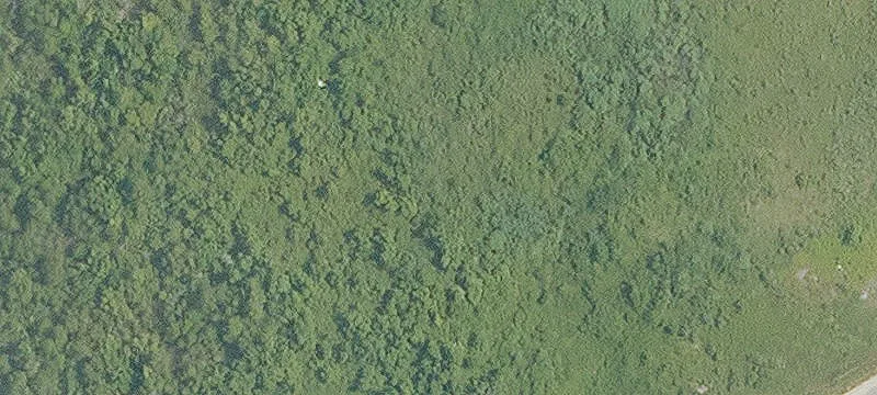 Sulphur, LA 70665