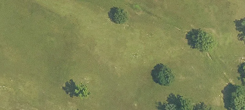 Haughton, LA 71037