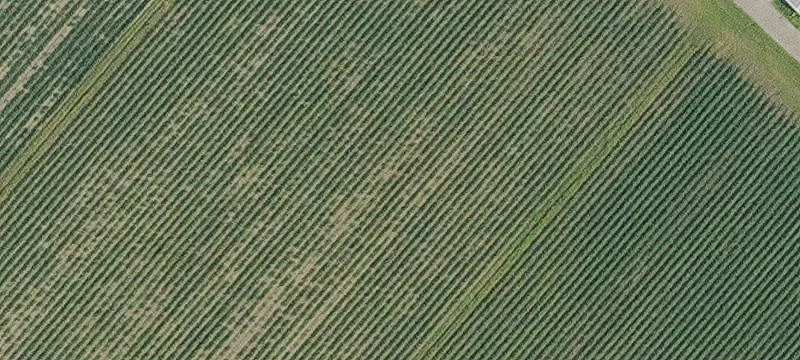 Jeanerette, LA 70544