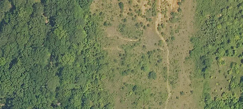 Haughton, LA 71037