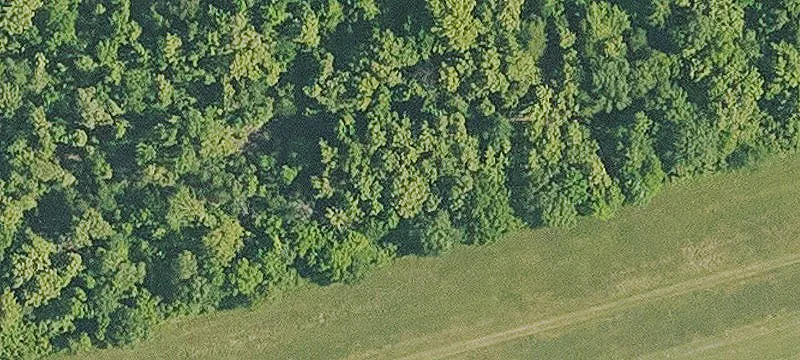 Boyce, LA 71409