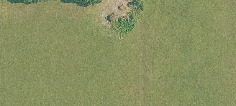 Church Point, LA 70525