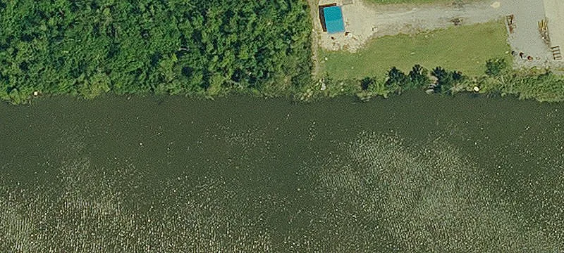 Golden Meadow, LA 70357