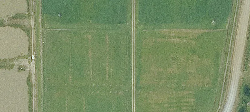 Morse, LA 70559