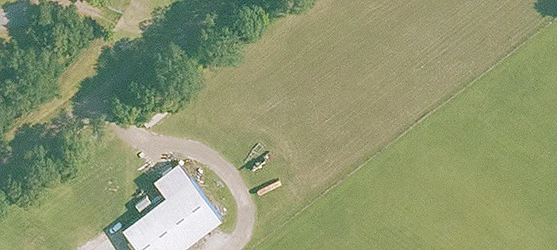 1229 Peach Bloom Hwy