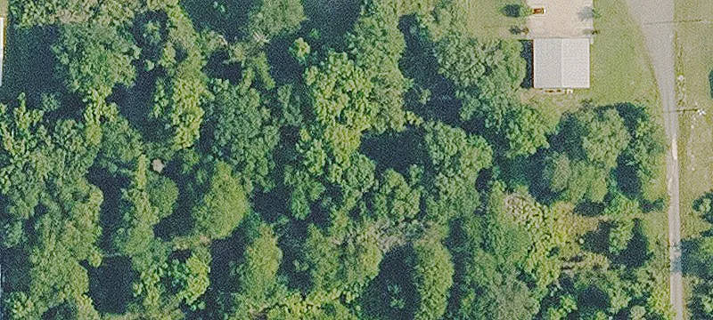 Greenwood