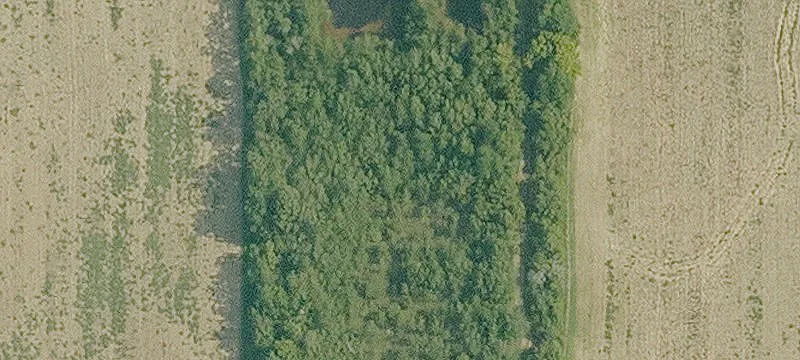Nickel Rd