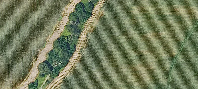 Rayville, LA 71269