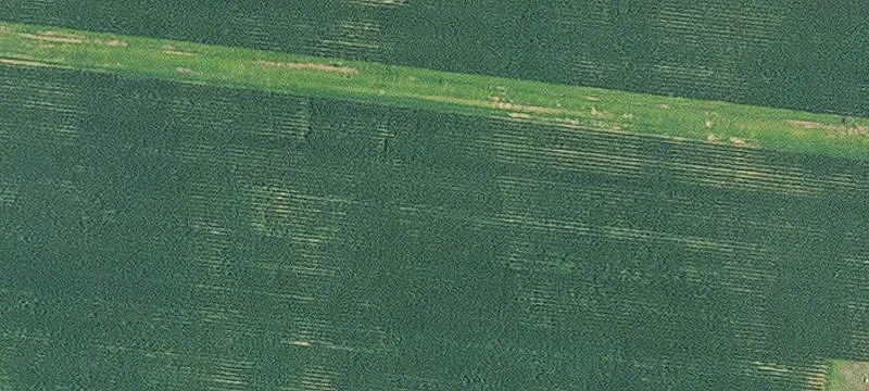 Belcher, LA 71004