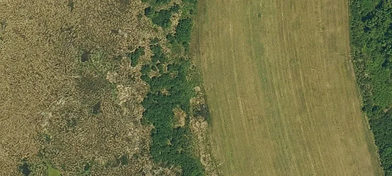 Brady Rd