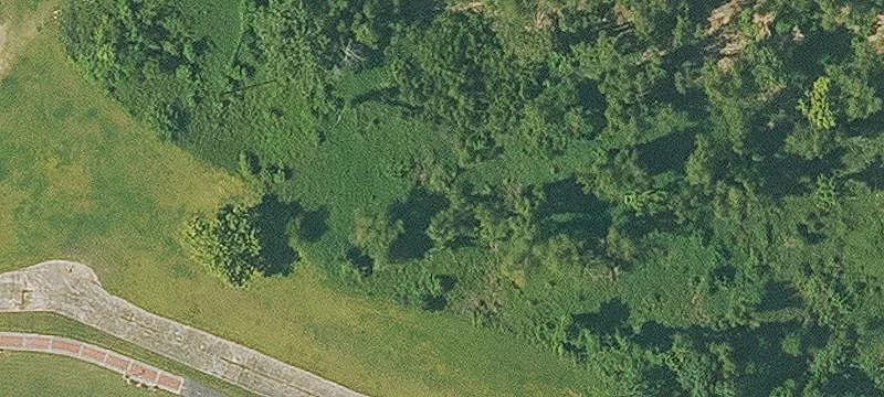 Donaldsonville, LA 70346