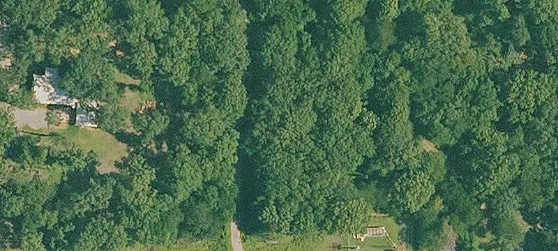 Martha Dr