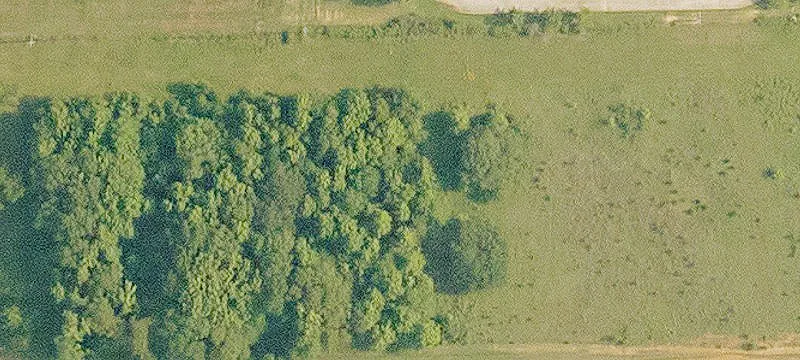 Arcadia, LA 71001