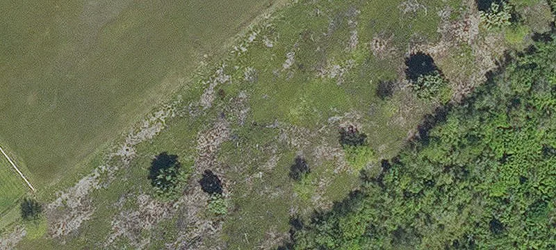 Mansura, LA 71350