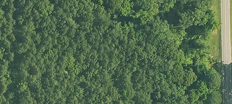 Alabama Ave
