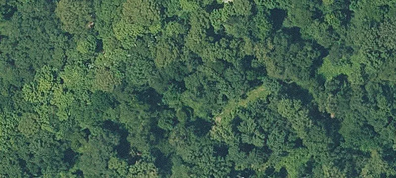 George Franklin Rd