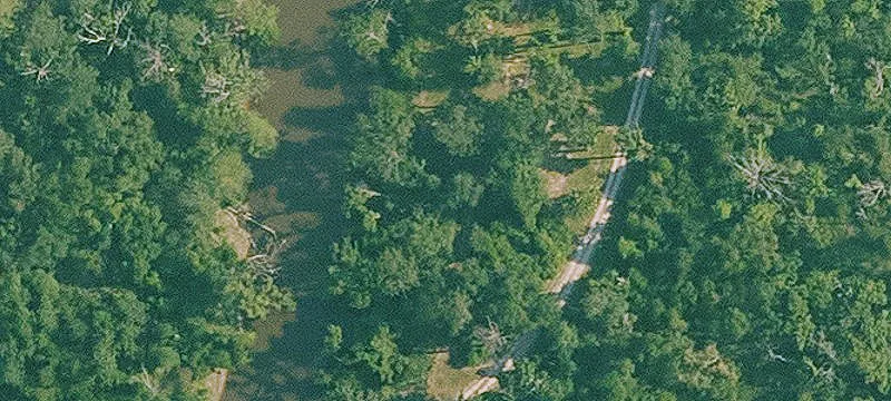 Campsite On Barnes Creek