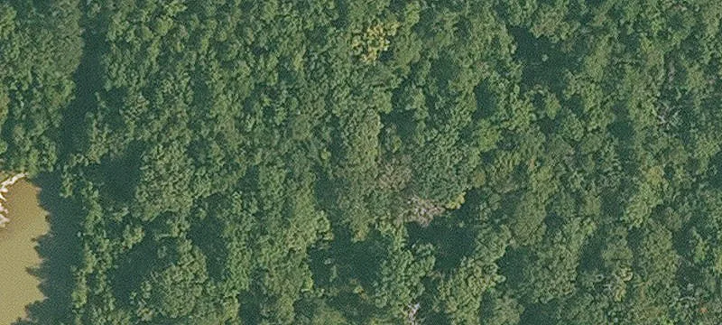 Oberlin, LA 70655
