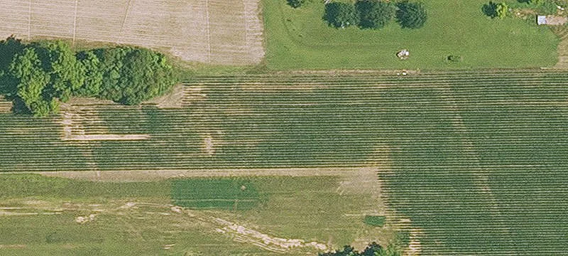 316 Hwy 1181