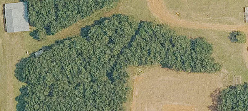 278 Dansby Rd