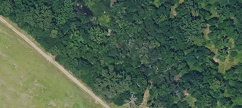 Oak Ridge, LA 71264
