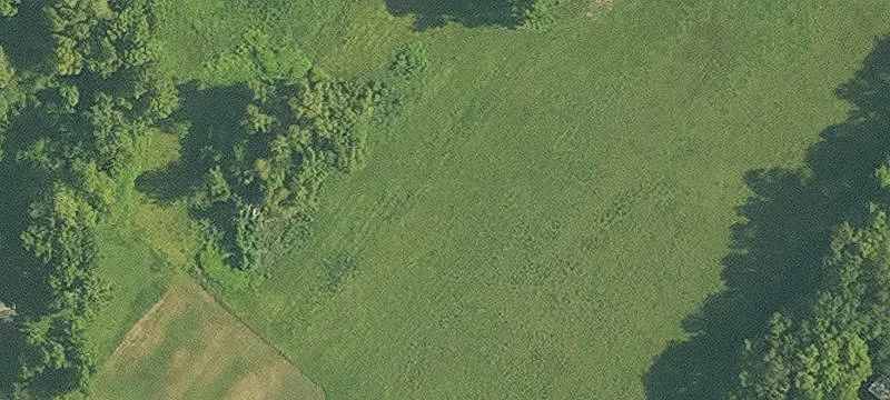 646 Hwy 90th E