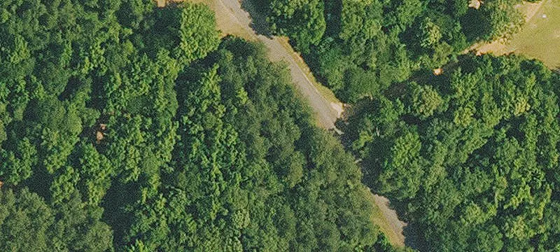 3175 Old Arcadia Hwy